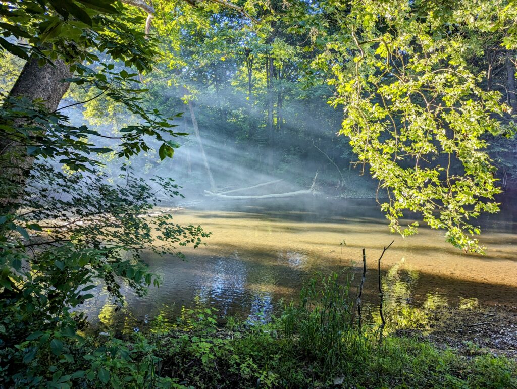 Camping at Shelly’s Woods